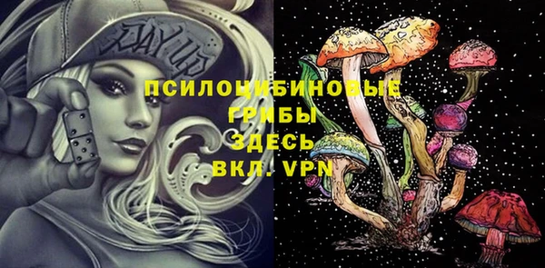 молекула духа Елабуга