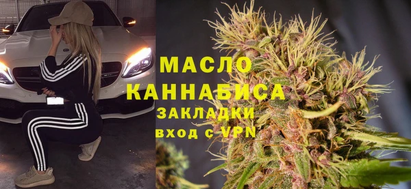 молекула духа Елабуга