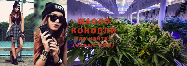 молекула духа Елабуга