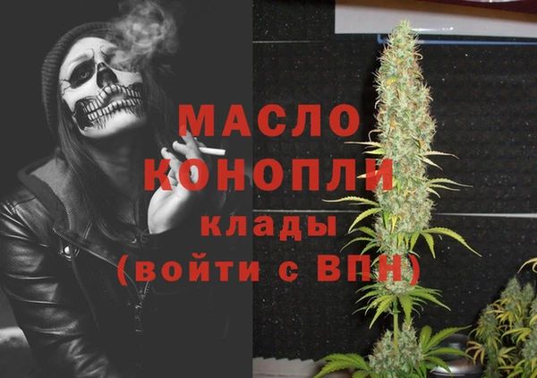 молекула духа Елабуга