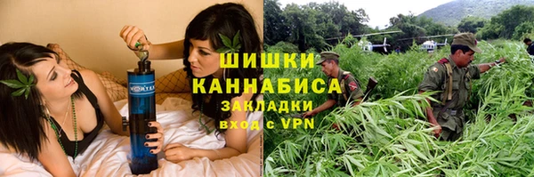 PSILOCYBIN Елизово