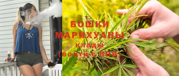 PSILOCYBIN Елизово