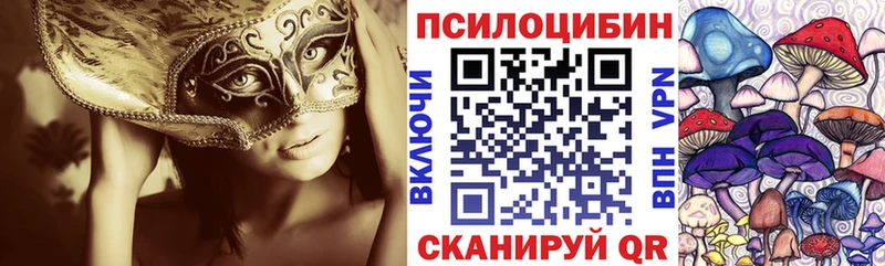 Псилоцибиновые грибы GOLDEN TEACHER  закладки  Лодейное Поле 